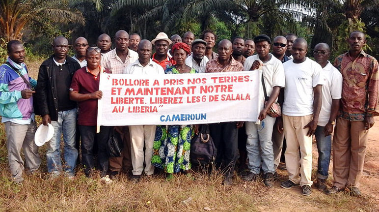 Manifestation de paysans dans une plantation de la Socapalm au Cameroun Au milieu d’une palmeraie, un groupe d’une vingtaine de paysans camerounais exhibe une banderole sur laquelle est écrit : « Bolloré a pris nos terres. Et maintenant notre liberté. »