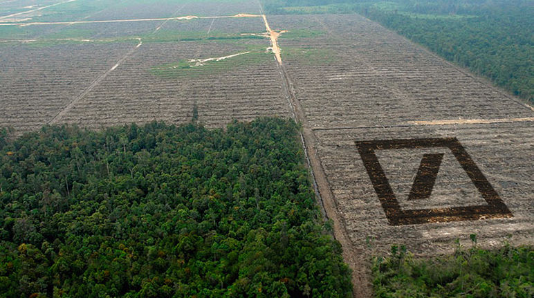 La Deutsche Bank cherche des investisseurs pour transformer les riches forêts tropicales d'Afrique et d'Indonésie en immenses monocultures de palmiers à huile Vue plongeante sur une forêt intacte en bas à gauche et défrichée sur le reste de l'image. Collage du logo carré de la Deutsche Banque en perspective à droite sur la zone déboisée.