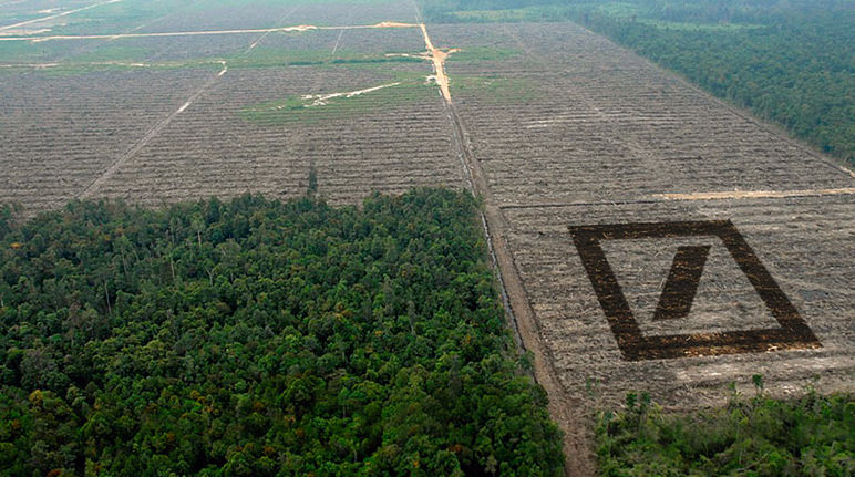 Vue plongeante sur une forêt intacte en bas à gauche et défrichée sur le reste de l'image. Collage du logo carré de la Deutsche Banque en perspective à droite sur la zone déboisée.