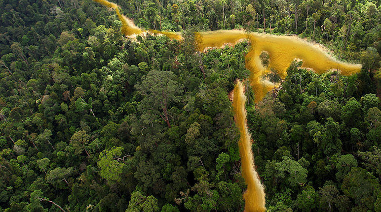 Vue aérienne d'une forêt tropicale sillonnée par une rivière dorée