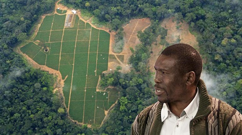 Photomontage : de profil le militant écologiste Nasako Besingi avec comme arrière plan une vue aérienne sur une plantation d’Herakles Farms au Cameroun.