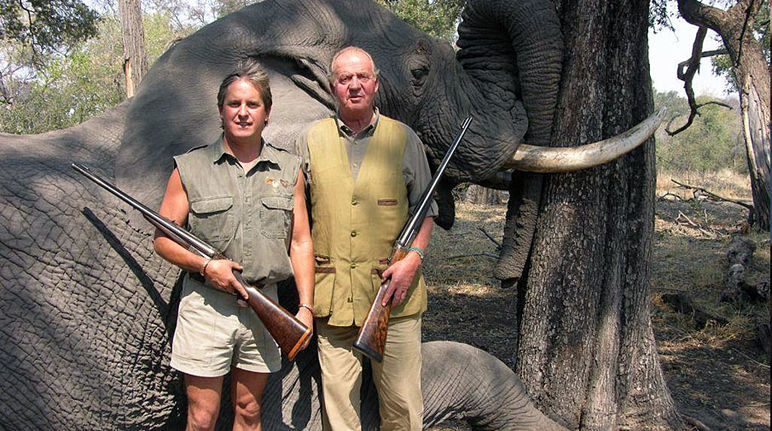 Juan Carlos, roi d'Espagne et président d'honneur de la WWF Le monarque espagnol et ancien président d'honneur du WWF Juan Carlos pose avec un fusil devant l'éléphant qu'il vient d'abattre au Botswana