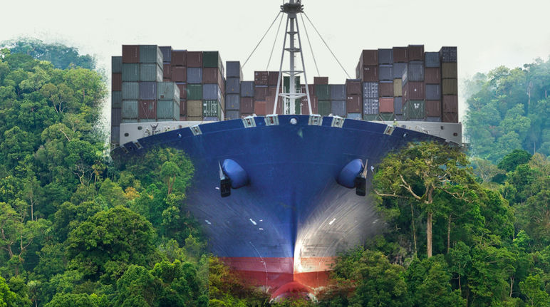 Canal interocéanique du Nicaragua : faciliter le libre-échange global au prix de la nature Photomontage : un porte conteneurs vue de face se dirige vers nous en pulvérisant la forêt tropicale