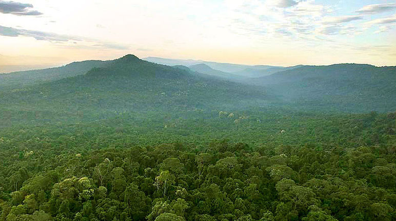 Vue aérienne sur les Monts Cardamome et les forêts tropicales les recouvrant