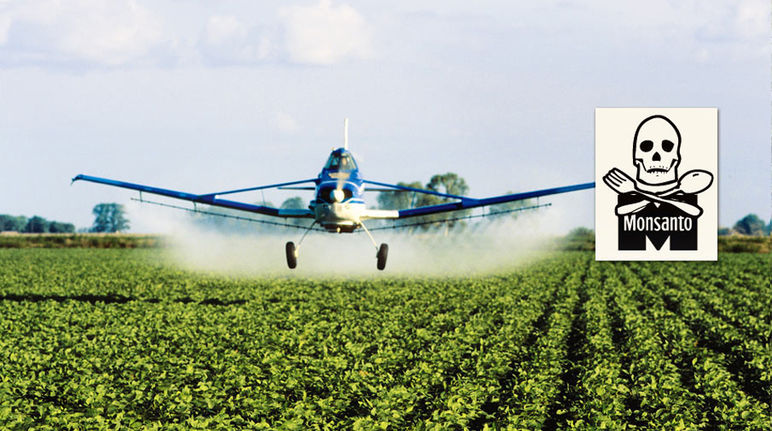 Un avion pulvérise des pesticides sur une plantation de soja