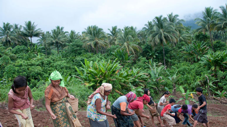 Plusieurs personnes en train de semer un champ dans la forêt tropicale