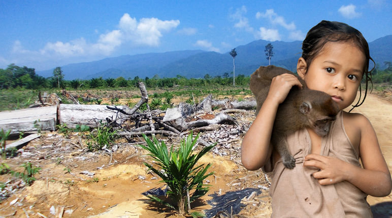 Une petite fille tient sur son épaule un singe devant le paysage désolant d’une forêt défrichée