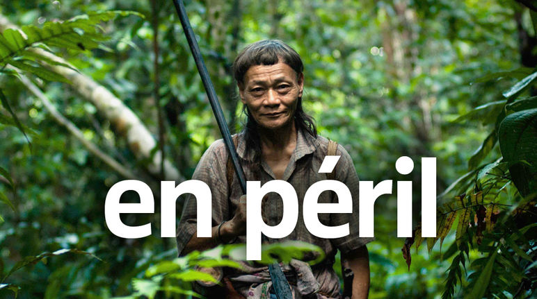 Un individu du peuple Penan dans la forêt tropicale à Bornéo. Texte au premier plan : EN PÉRIL