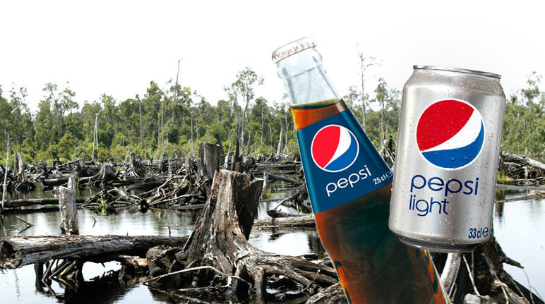 Une bouteille et une canette de Pepsi-Cola avec en arrière-plan une forêt tropicale en cours de défrichement.