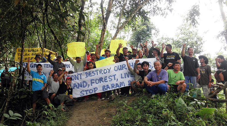 Des autochtones posent avec leurs pancartes dans la forêt tropicale du Sarawak pour manifester contre le barrage de Baram.