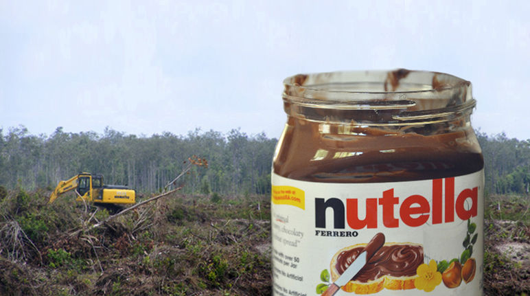 L'huile de palme contenue dans le Nutella cause la destruction des forêts tropicales Photomontage avec un pot de Nutella en premier plan sur fond de forêt pluviale détruite par des bulldozers