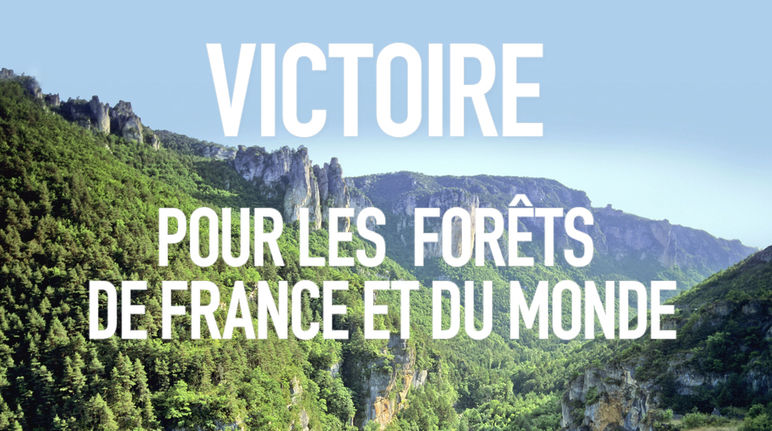 Texte : "Victoire pour les forêts de France et du monde" avec en arrière-plan une vue aérienne sur une vallée et ses forêts majestueuse dans les Cévennes