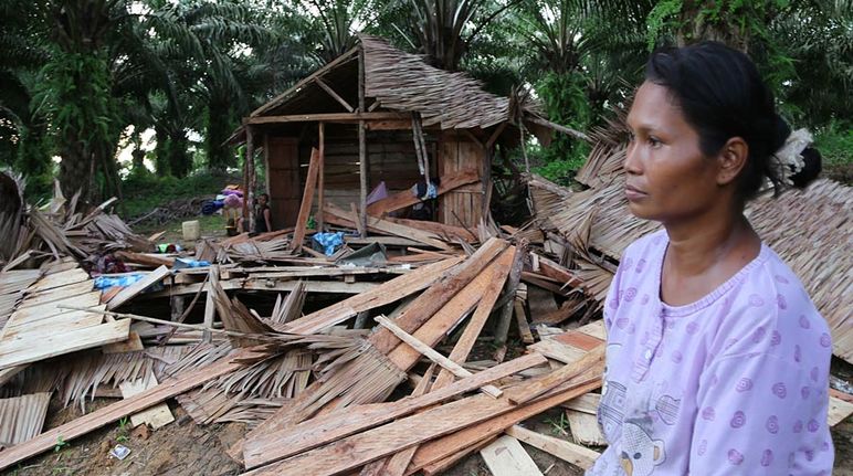 Une autochtone Suku Anak Dalam de profil au milieu des habitations détruites.