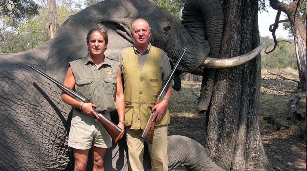 Le monarque espagnol et ancien président d'honneur du WWF Juan Carlos pose avec un fusil devant l'éléphant qu'il vient d'abattre au Botswana