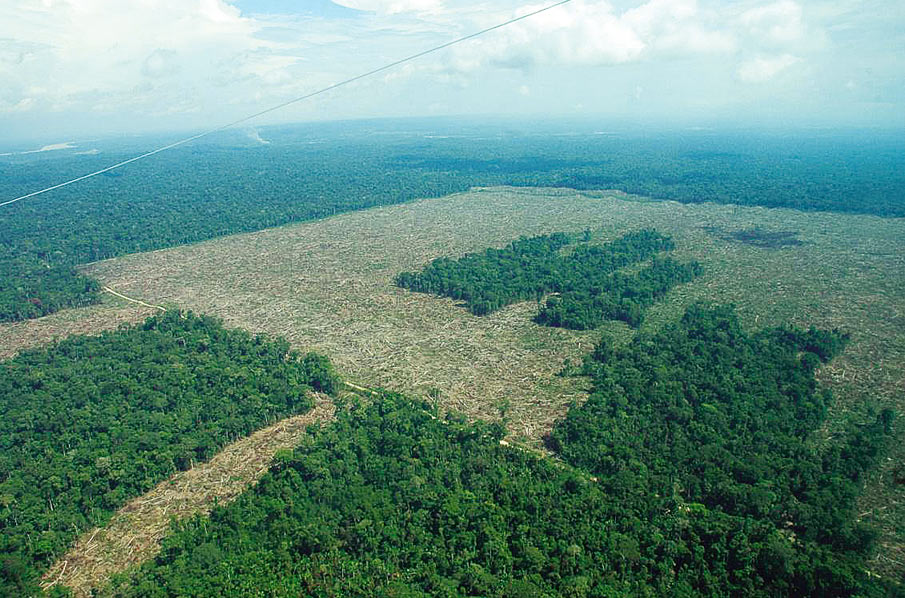 UE la déforestation en (toute) franchise Sauvons la Forêt