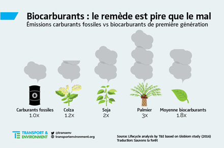 Biocarburants : le remède est pire que le mal