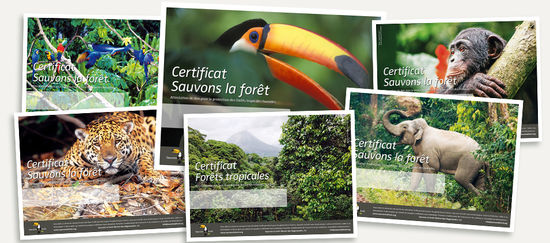 Certificats de dons à Sauvons la forêt