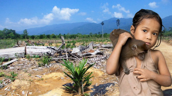 Une petite fille tient sur son épaule un singe devant le paysage désolant d’une forêt défrichée
