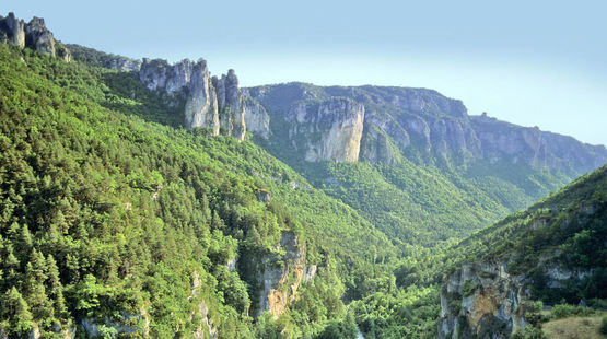 Vue aérienne sur une vallée et ses forêts majestueuse dans les Cévennes