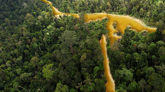 L'or est-il au-dessus de tout, M. Montebourg ? Goldfluss-guyana-fr